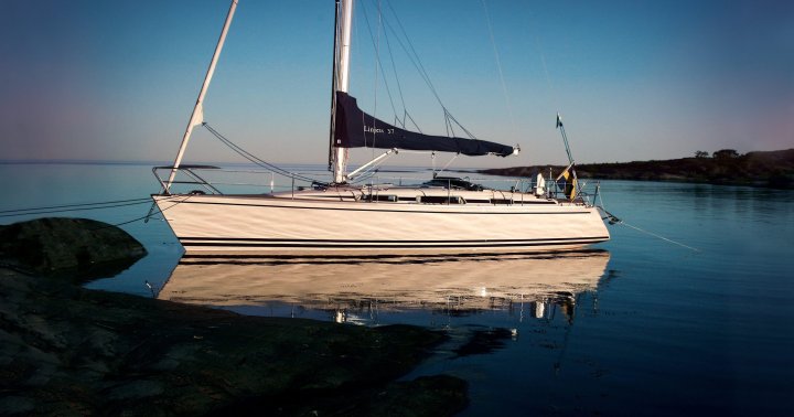 Linjett 37