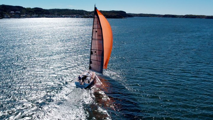 Linjett 39 Genacker Sailing