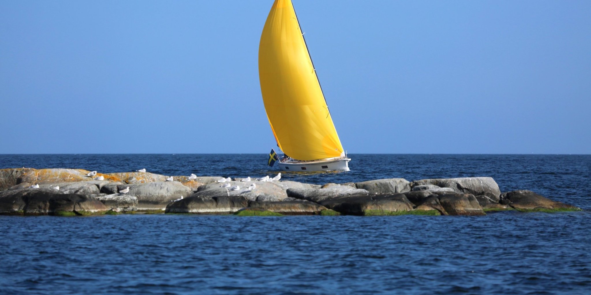 Linjett 36 Sailing