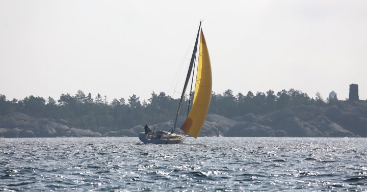 Linjett 36 Sailing